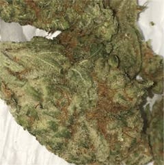 User uploaded image of White Fire OG