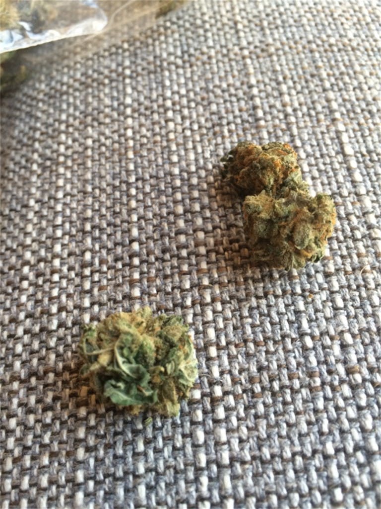 Photos of White Gold Weed Strain Buds Leafly