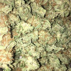 User uploaded image of White Gold