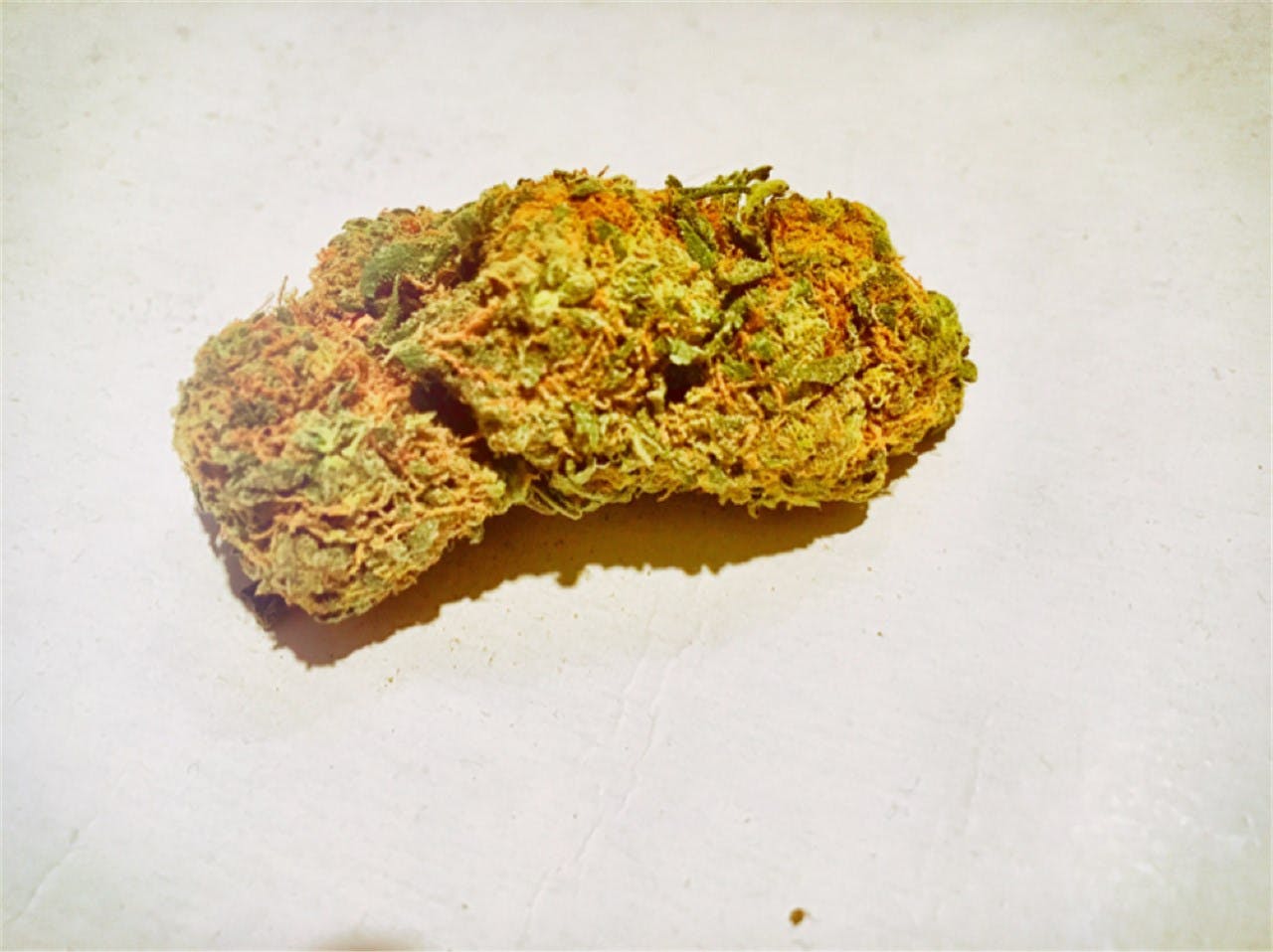 Photos of White Gold Weed Strain Buds Leafly