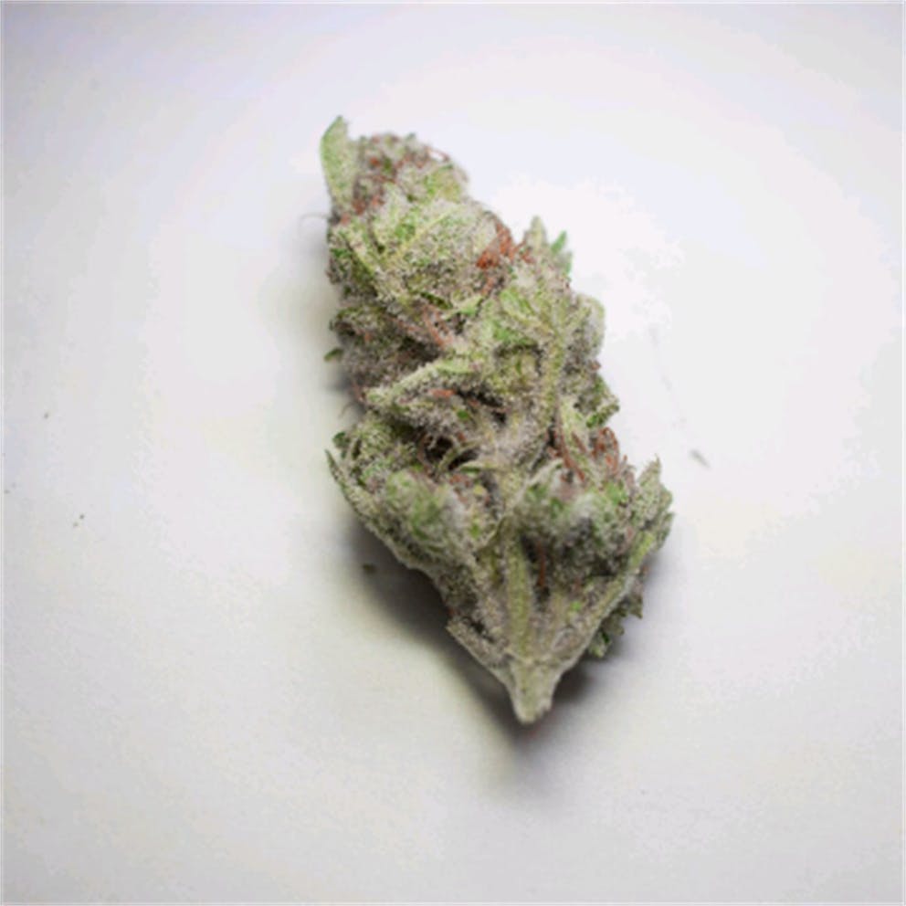 Photos of White Gold Weed Strain Buds Leafly