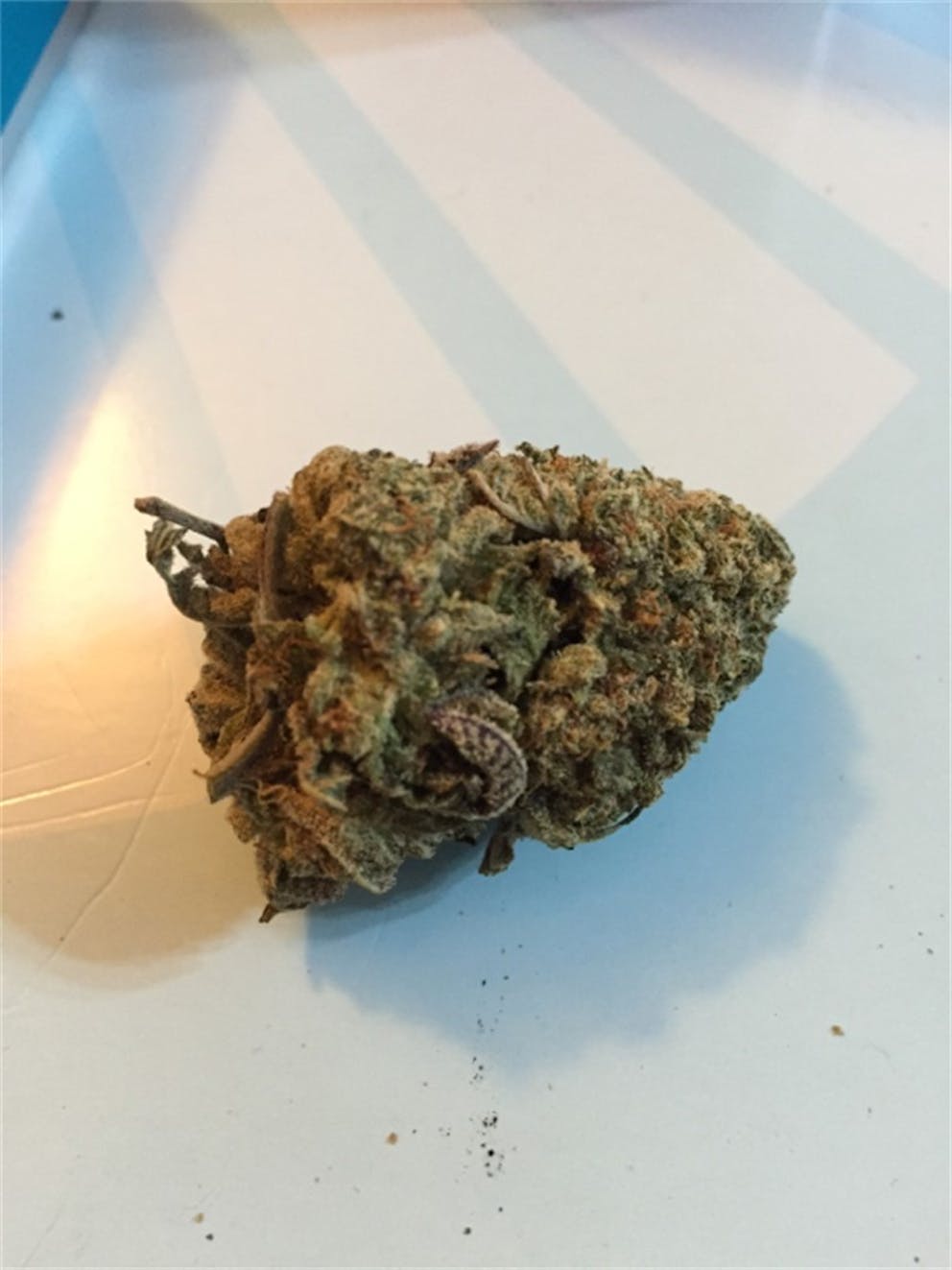 Photos of White Gold Weed Strain Buds Leafly