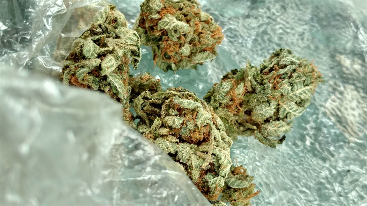 Photos of White Gold Weed Strain Buds Leafly