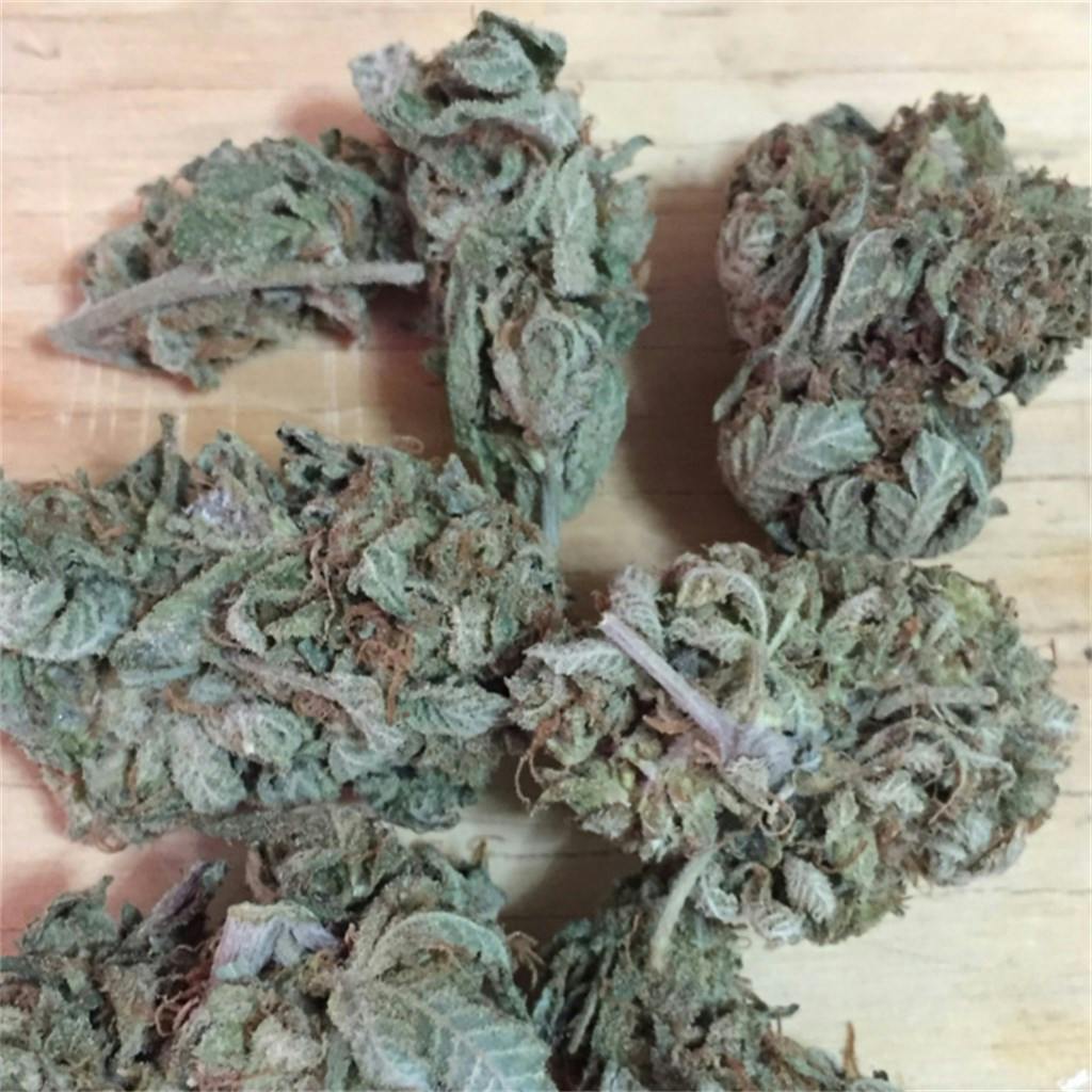 White Gold aka Oro Blanco Weed Strain Information Leafly