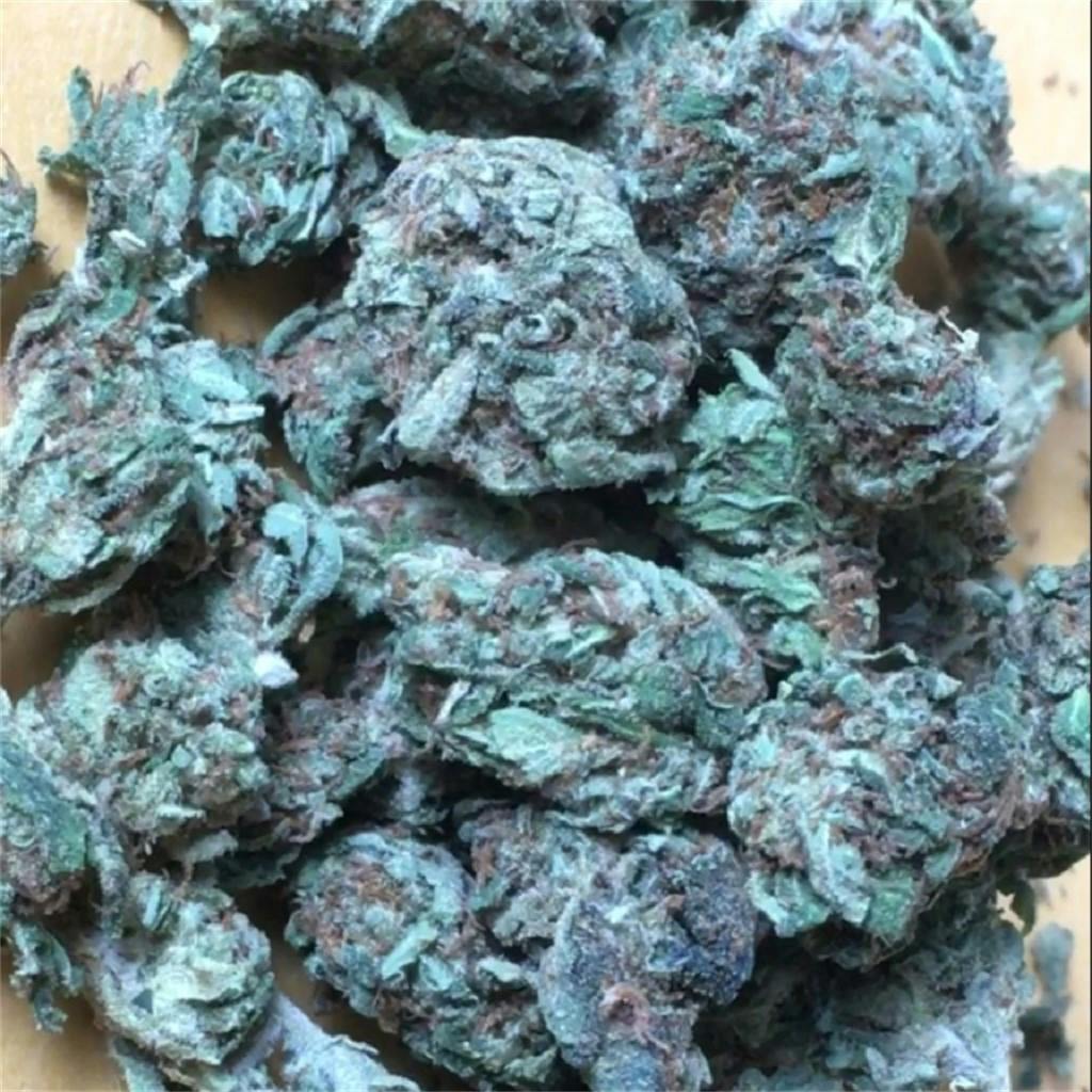 White Gold aka Oro Blanco Weed Strain Information Leafly