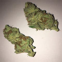 User uploaded image of White Gold