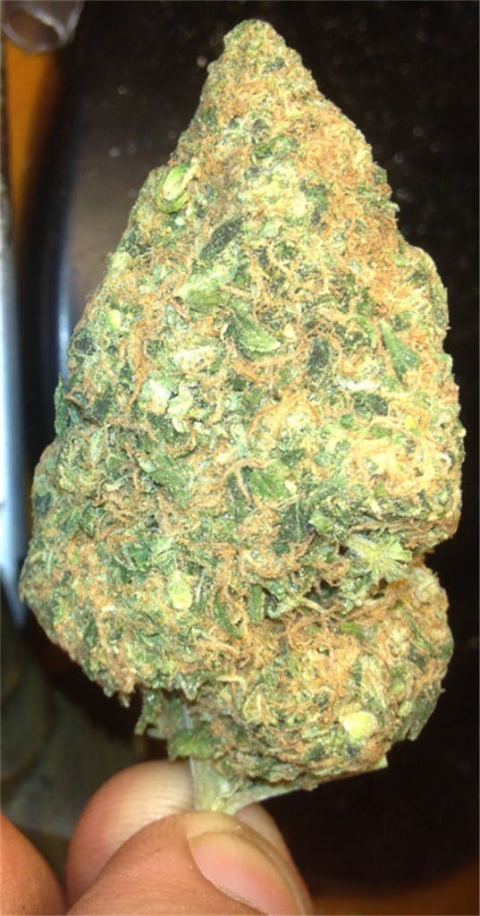 White Gorilla aka White Glue, White Gorilla Glue Weed Strain