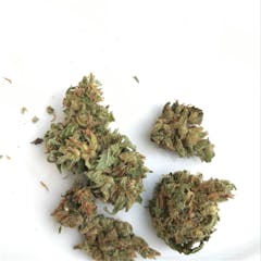 User uploaded image of White Haze