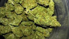 User uploaded image of White Haze