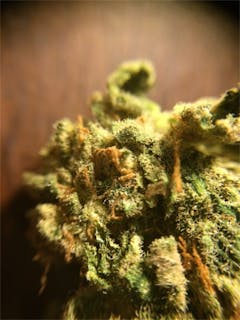 User uploaded image of White Haze