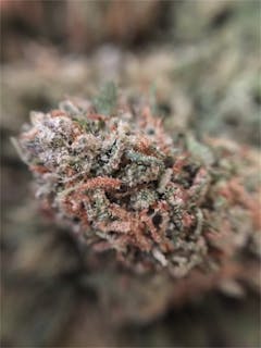 User uploaded image of White Knight