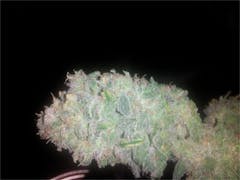 User uploaded image of White Kryptonite