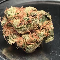 User uploaded image of White Kush