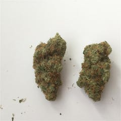 User uploaded image of White Kush