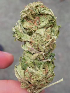 User uploaded image of White Lightning