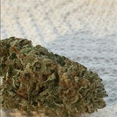 User uploaded image of White Lightning