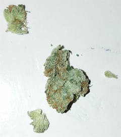 User uploaded image of White Lightning