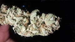 User uploaded image of White Lightning