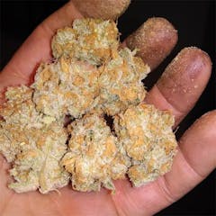 User uploaded image of White Lotus