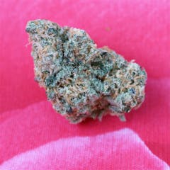 User uploaded image of White Lotus