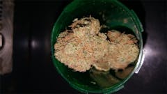 User uploaded image of White Nightmare