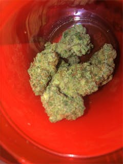 User uploaded image of White Nightmare