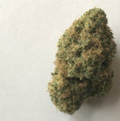 User uploaded image of White Nightmare