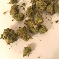 User uploaded image of White OG