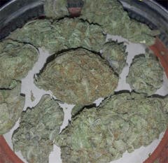 User uploaded image of White Queen