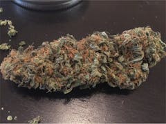 User uploaded image of White Rhino