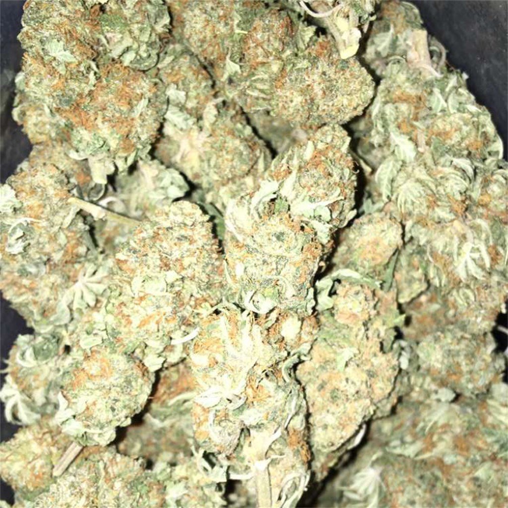 White Rhino Strain