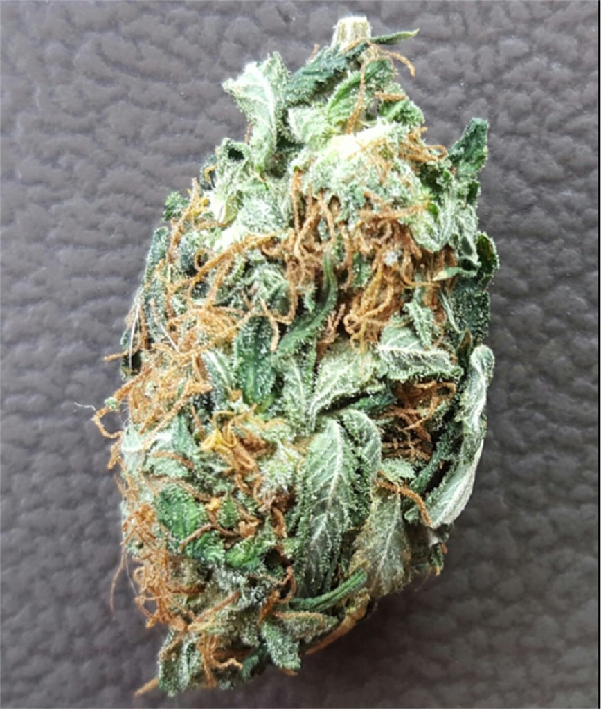 White Rhino Strain Review