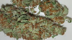 User uploaded image of White Rhino