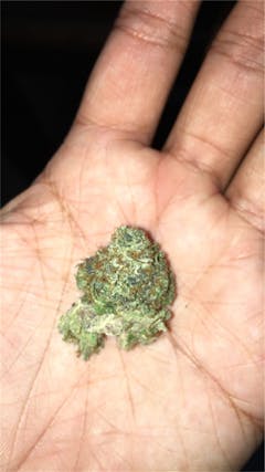 User uploaded image of White Romulan