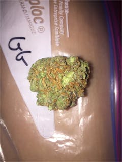 User uploaded image of White Romulan