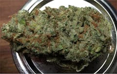 User uploaded image of White Romulan
