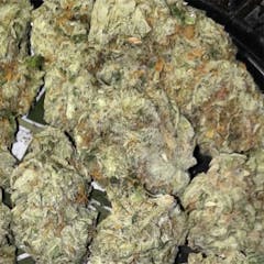 User uploaded image of White Romulan