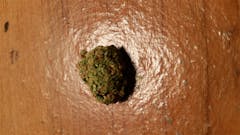 User uploaded image of White Russian