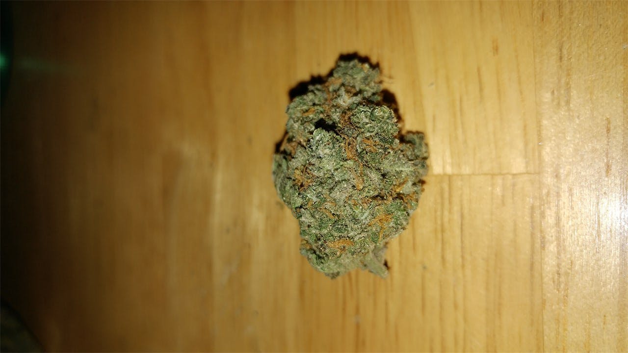 White Russian Weed Strain Information Leafly