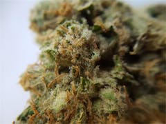 User uploaded image of White Sangria