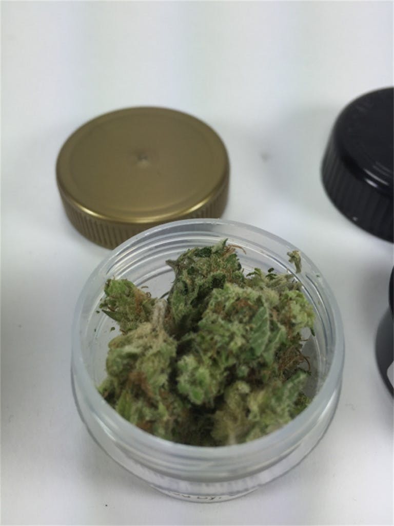 White Skunk aka White Label Skunk Weed Strain Information | Leafly