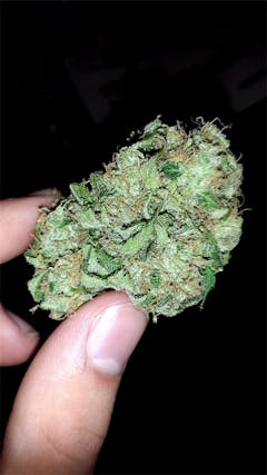 User uploaded image of White Slipper