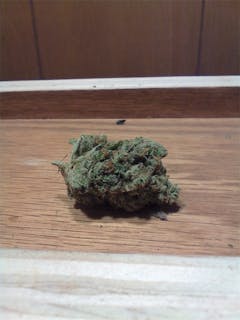 User uploaded image of White Urkle
