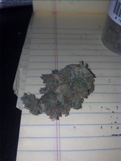 User uploaded image of White Urkle