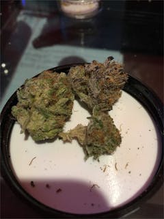 User uploaded image of White Urkle