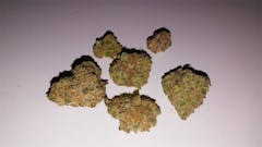 User uploaded image of White Urkle