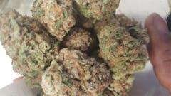 User uploaded image of White Urkle