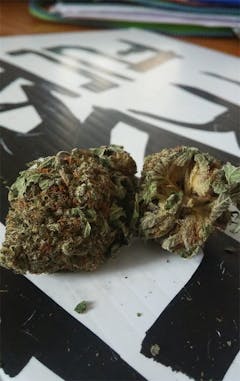 User uploaded image of White Walker Kush