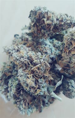 User uploaded image of White Walker Kush