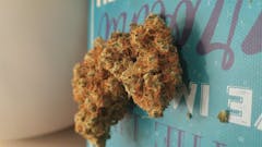 User uploaded image of White Walker Kush